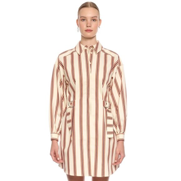 Ted Baker Kaate Striped Shirt Dress - Picture 2 of 11